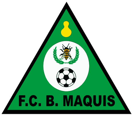 Futebol Clube Bravos do Maquis